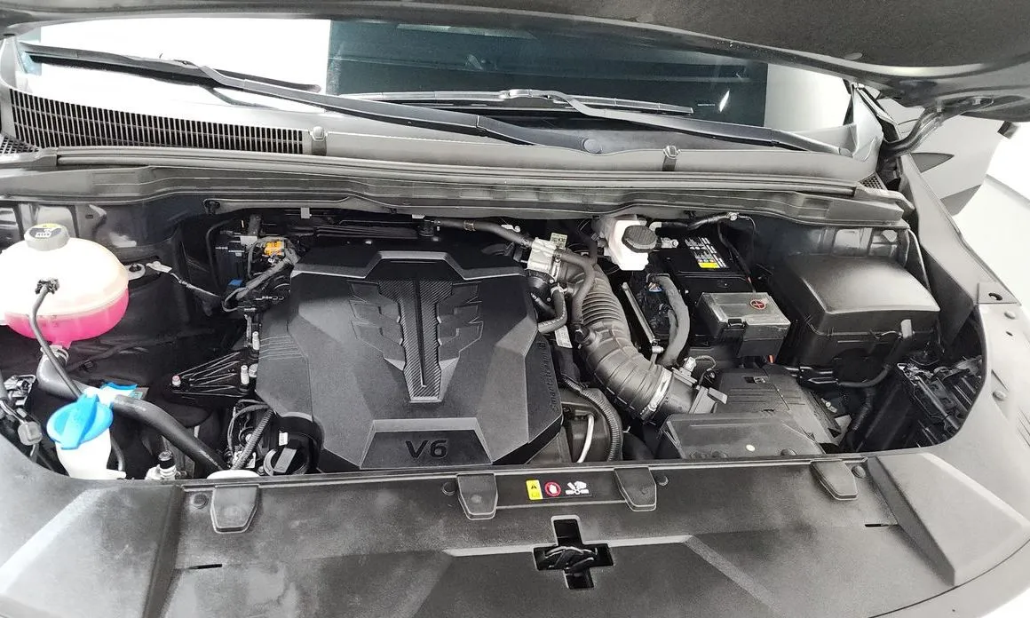 Kia Carnival — фото 10