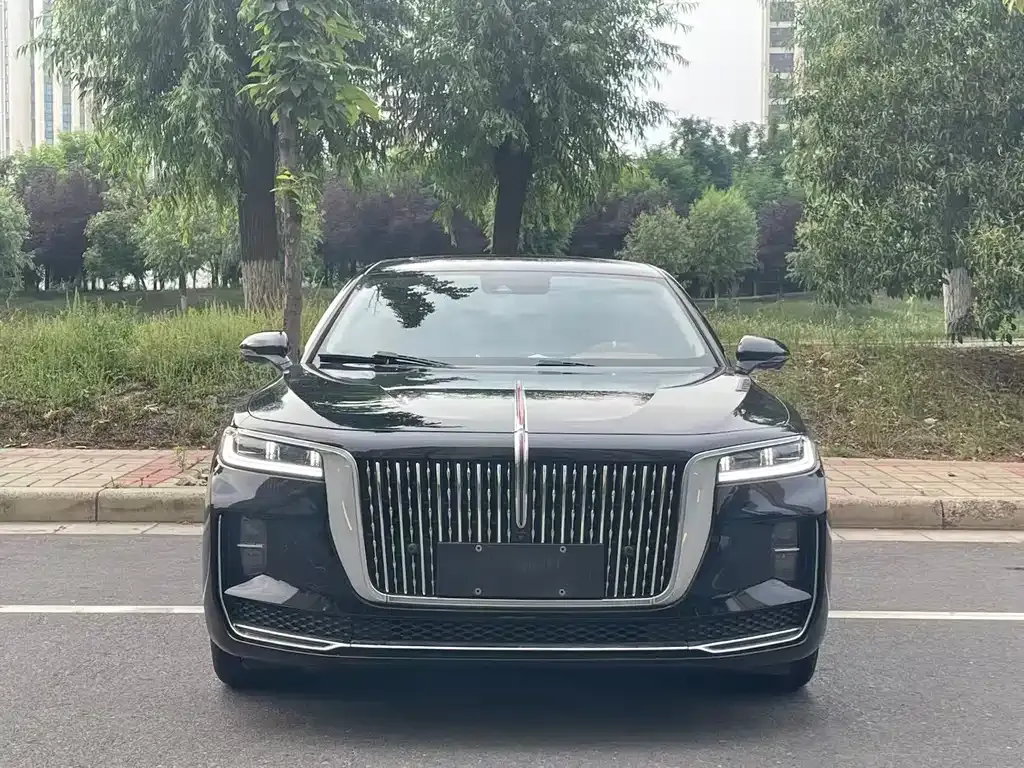 Hongqi H9 2021 из CN, фото 6