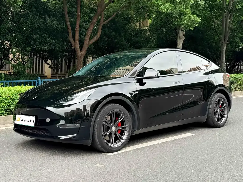 Tesla Model Y — фото 1