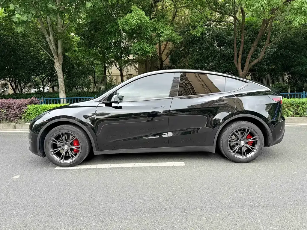 Tesla Model Y — фото 7