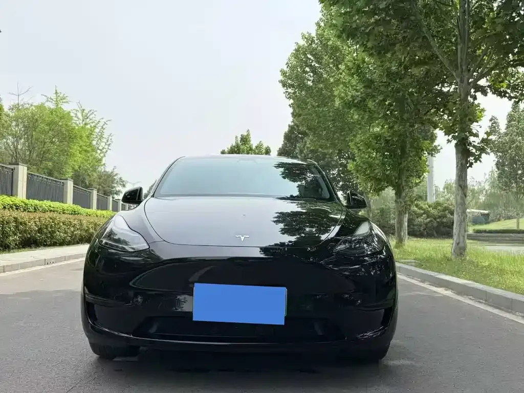 Tesla Model Y — фото 3