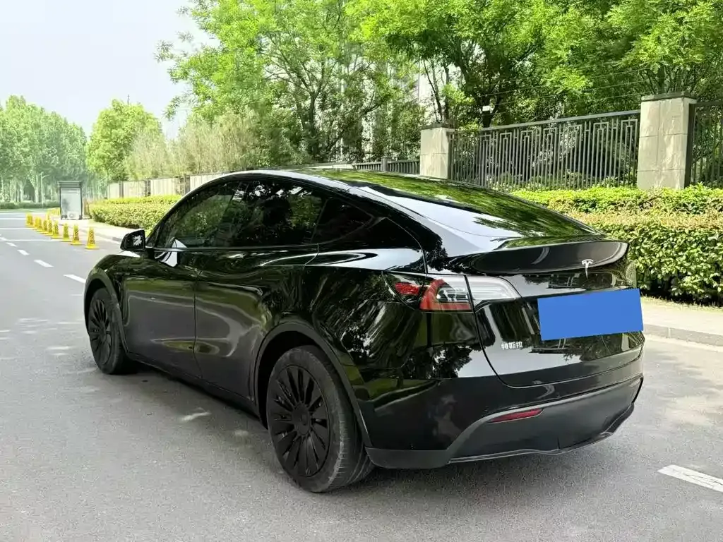 Tesla Model Y — фото 8