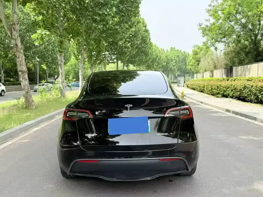 Tesla Model Y — фото 6