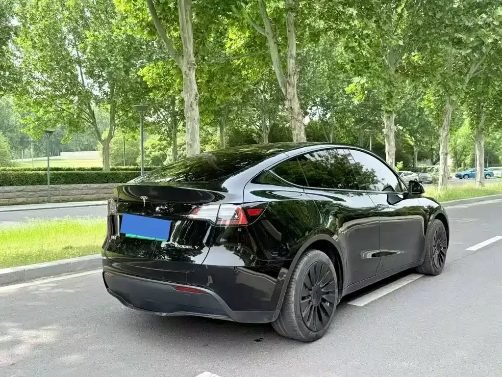 Tesla Model Y — фото 9