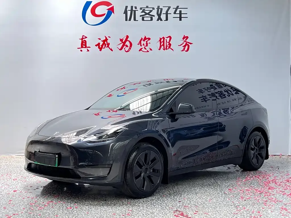 Tesla Model Y — фото 1