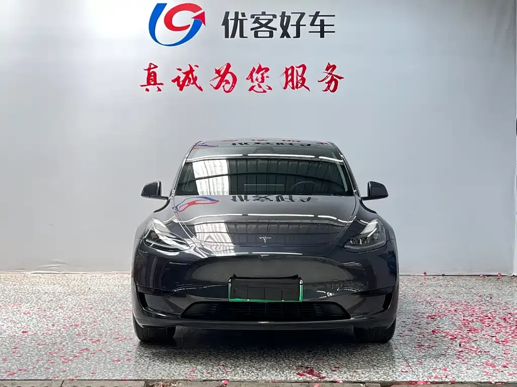 Tesla Model Y — фото 10