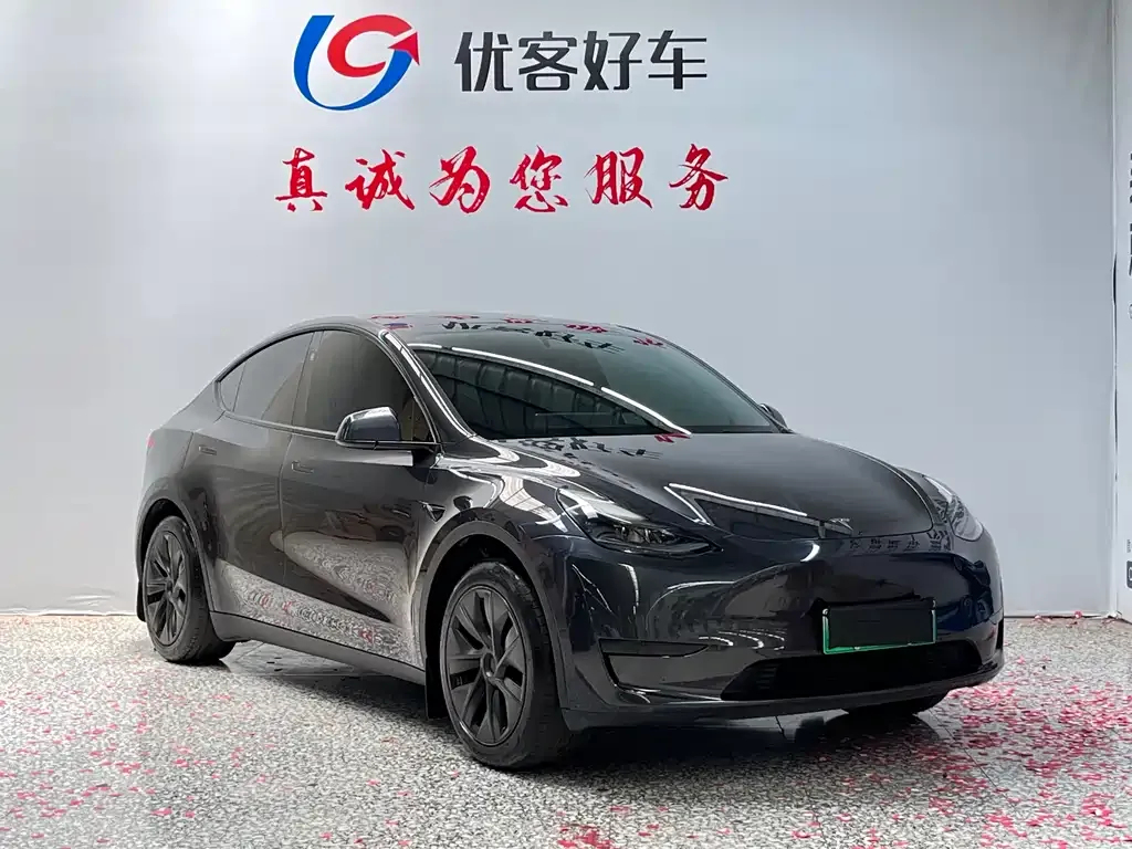 Tesla Model Y — фото 7