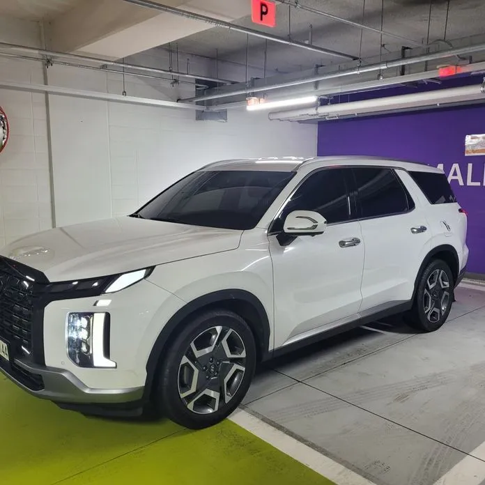 Hyundai Palisade — фото 7