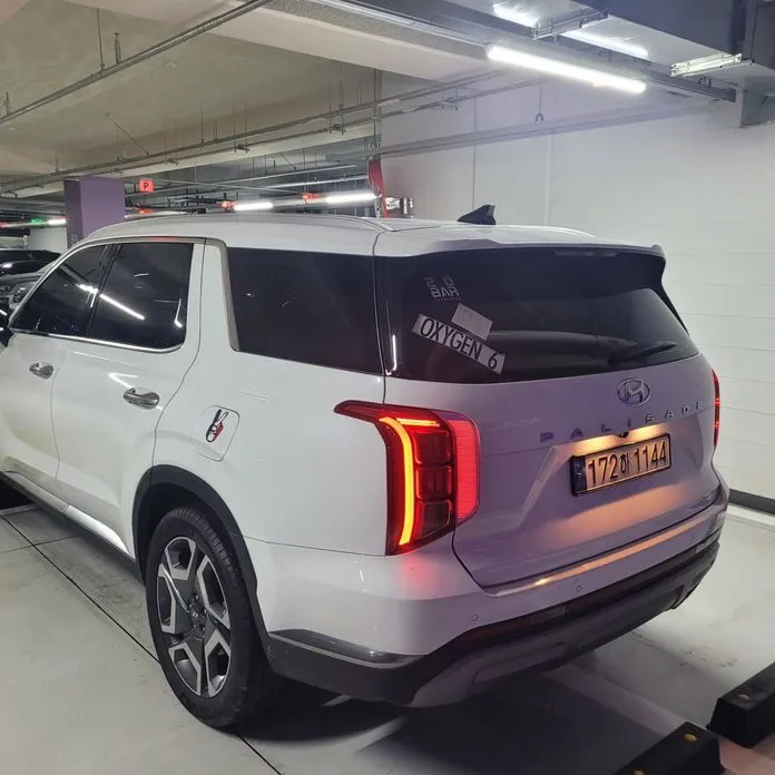 Hyundai Palisade — фото 9