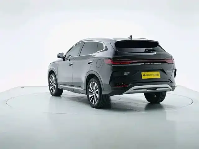 BYD PLUS New Energy — фото 4