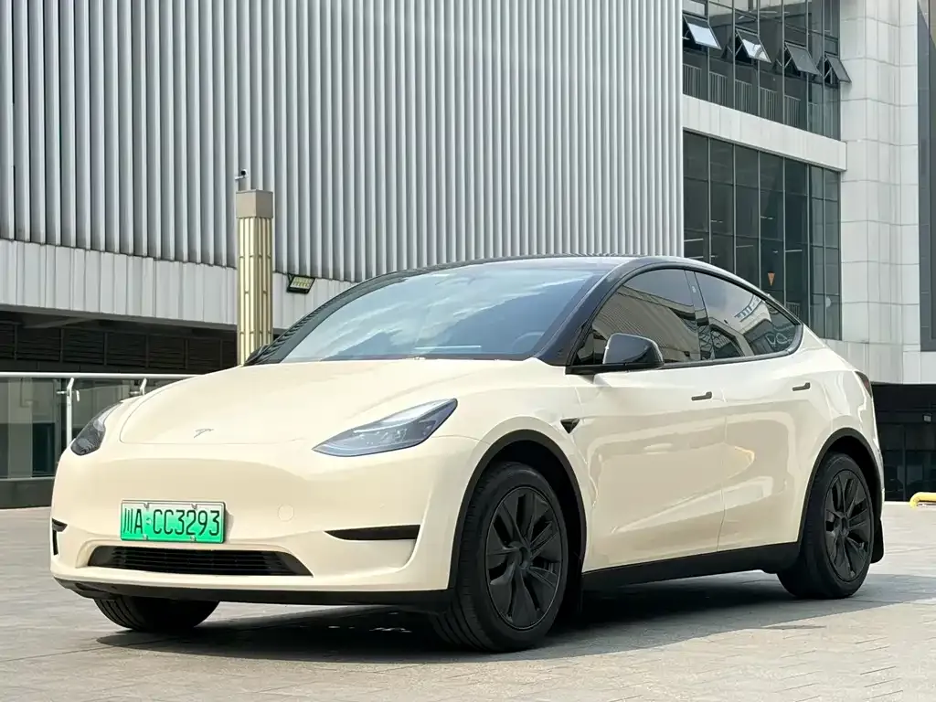 Tesla Model Y — фото 1