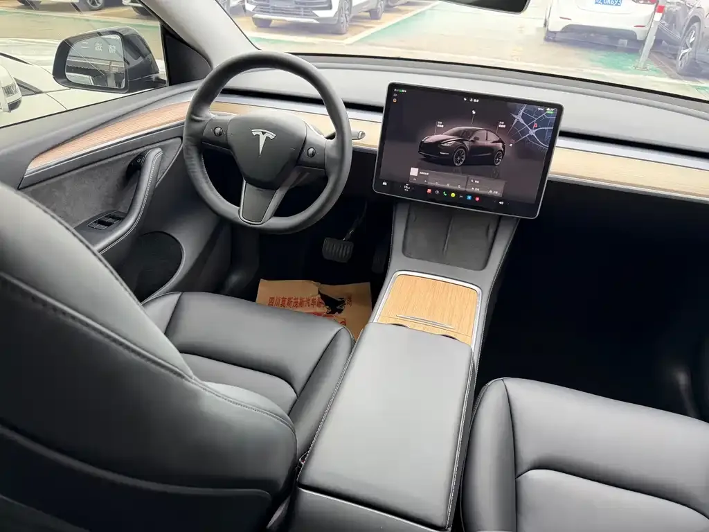 Tesla Model Y — фото 10