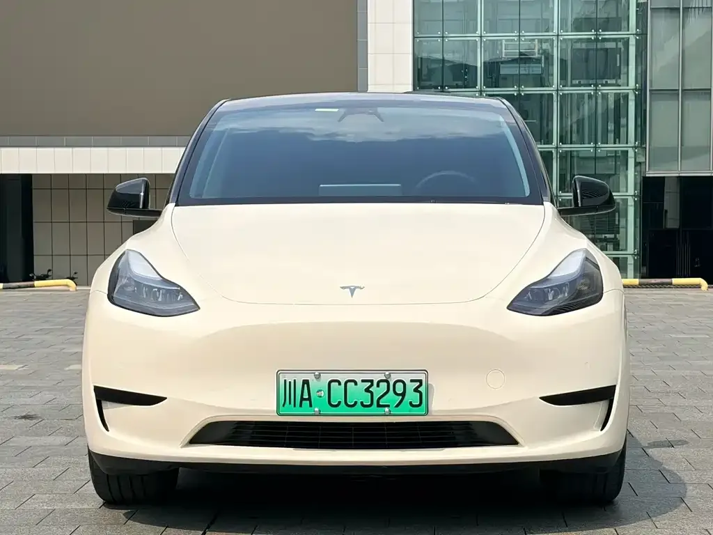 Tesla Model Y — фото 9