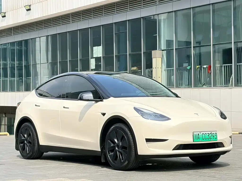 Tesla Model Y — фото 6