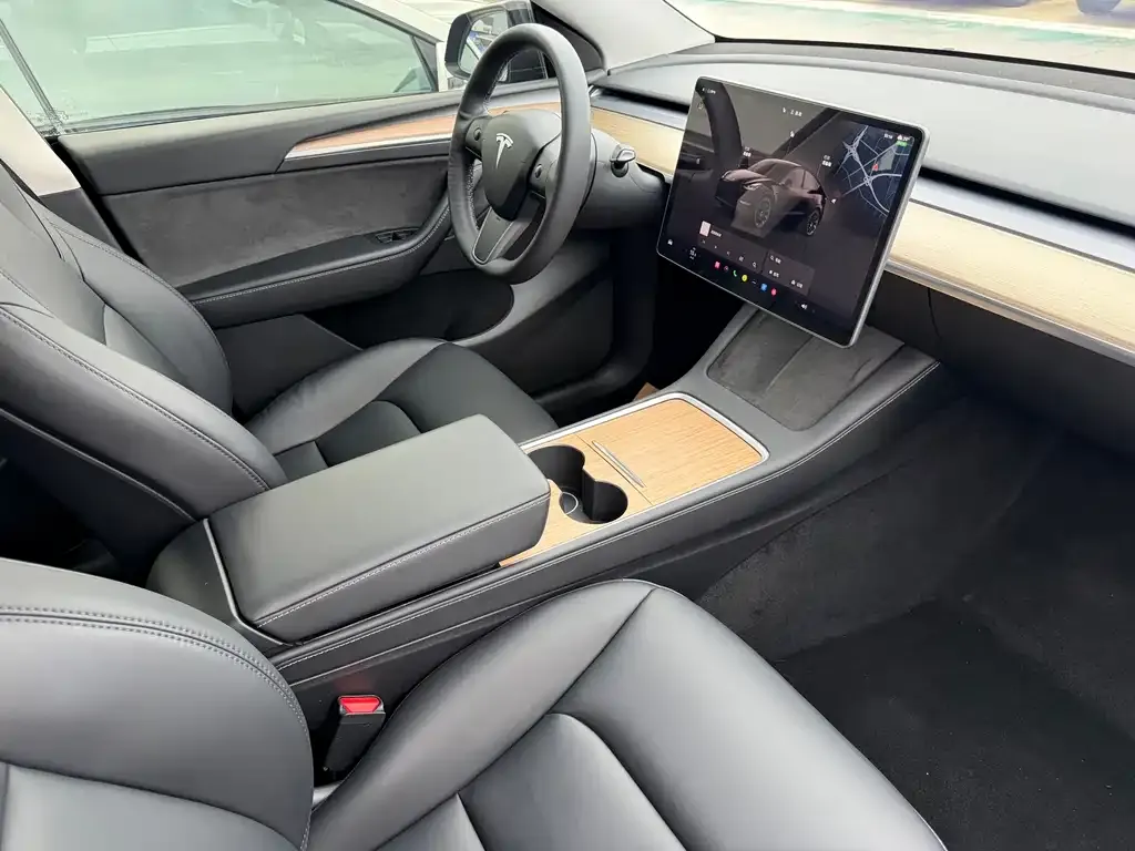 Tesla Model Y — фото 8