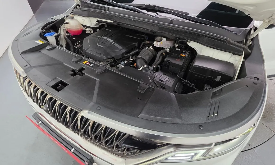 Kia Carnival — фото 10