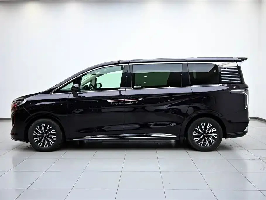 Hongqi HQ9 PHEV — фото 6