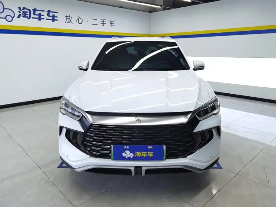 BYD Pro New Energy — фото 3
