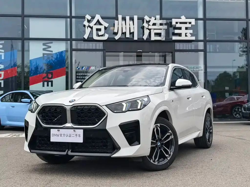 BMW X2 (Import) — фото 1