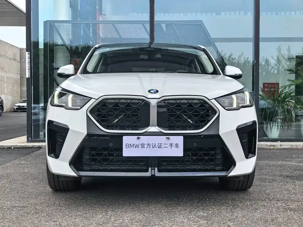 BMW X2 (Import) — фото 9