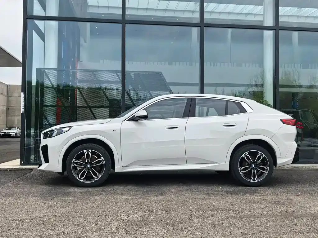 BMW X2 (Import) — фото 10