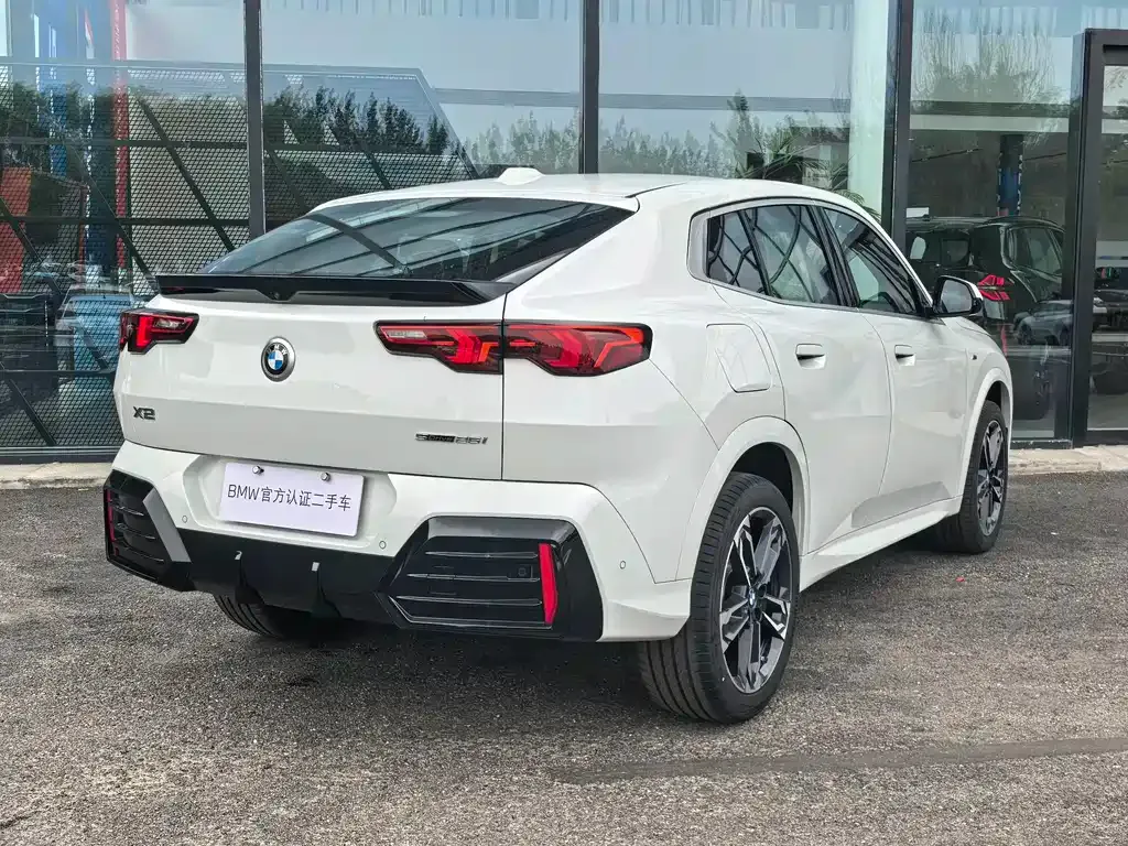BMW X2 (Import) — фото 6