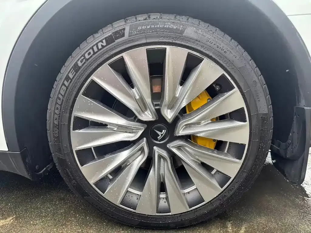 Tesla Model Y — фото 9
