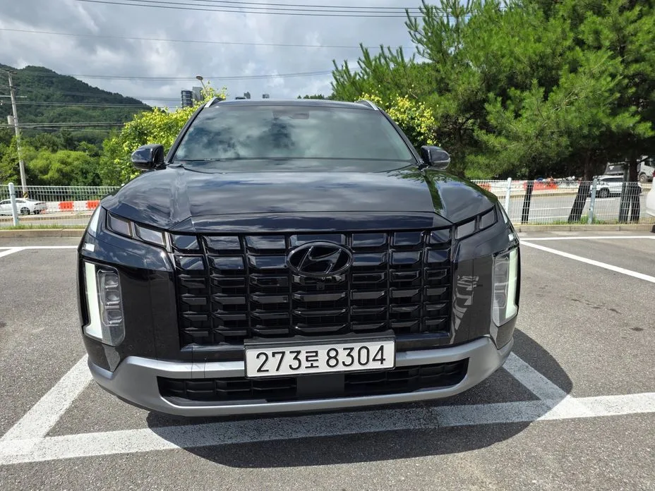 Hyundai Palisade — фото 4