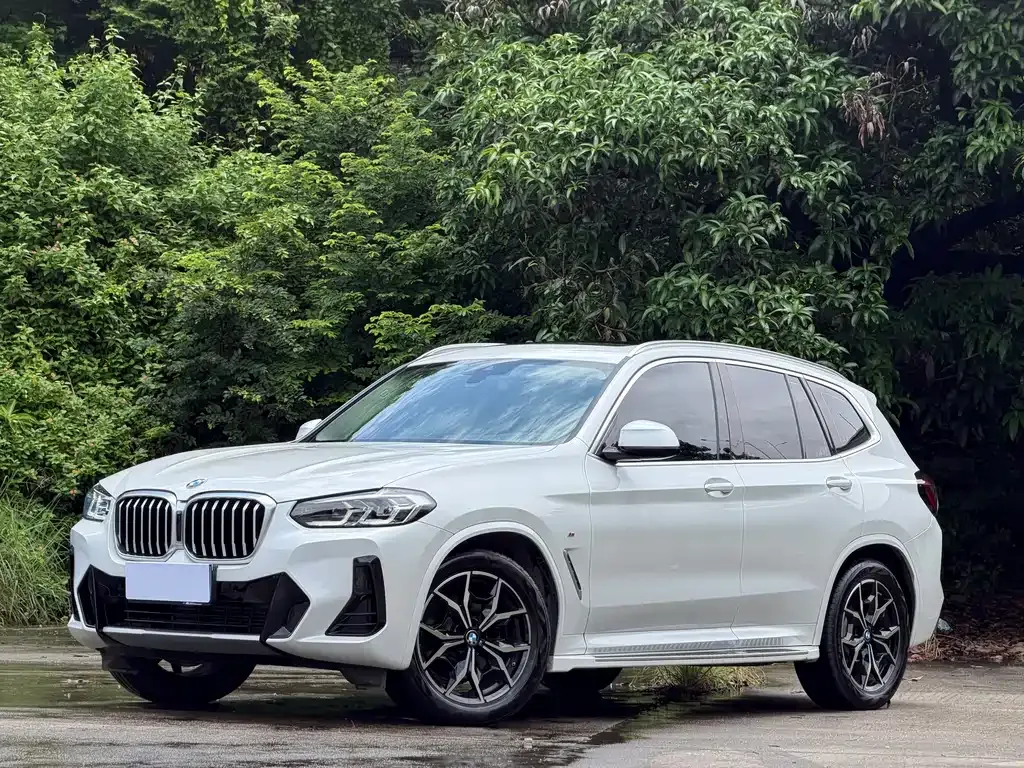 BMW X3 — фото 1