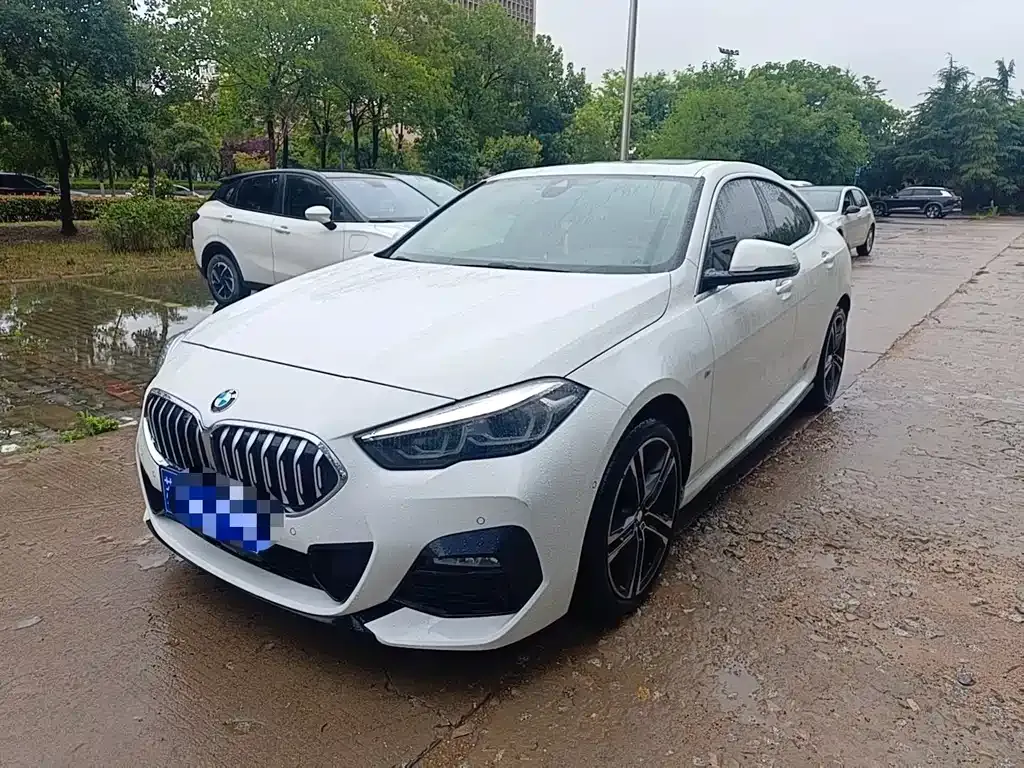 BMW 2 Series (Import) — фото 1
