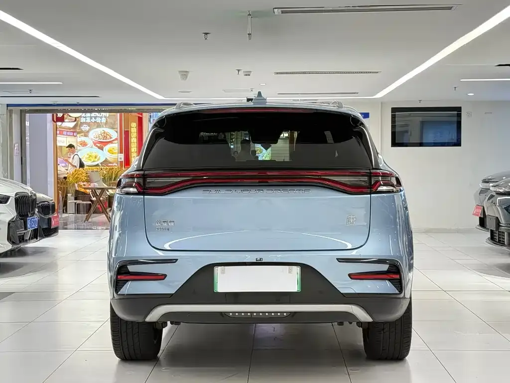 BYD Tang New Energy — фото 10