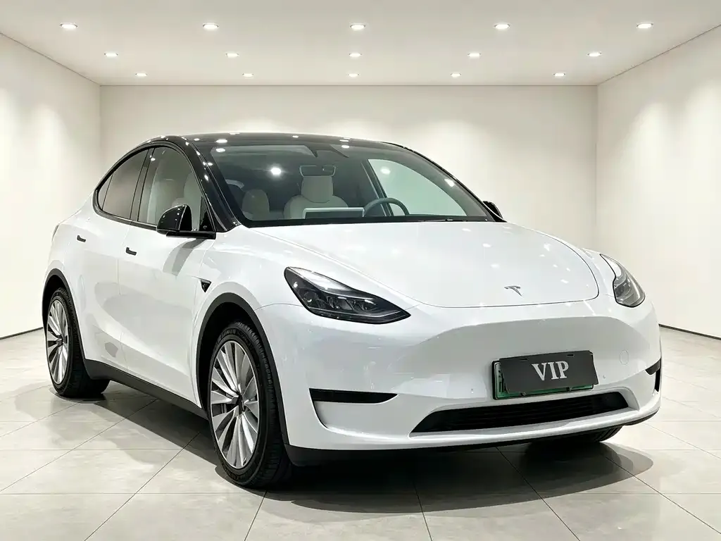 Tesla Model Y — фото 1