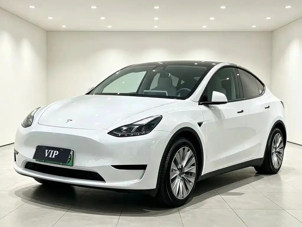 Tesla Model Y — фото 6