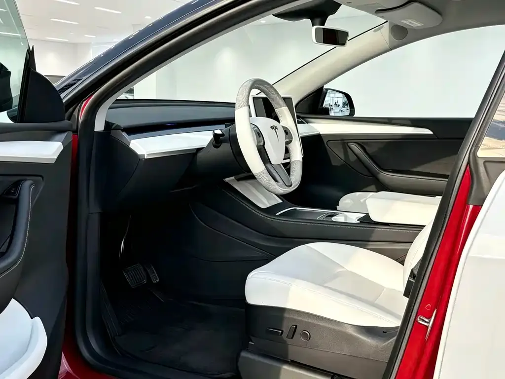 Tesla Model Y — фото 9