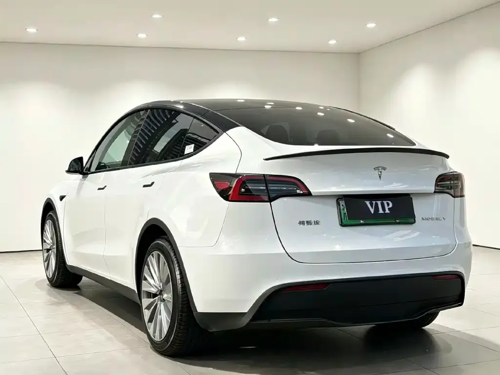 Tesla Model Y — фото 8