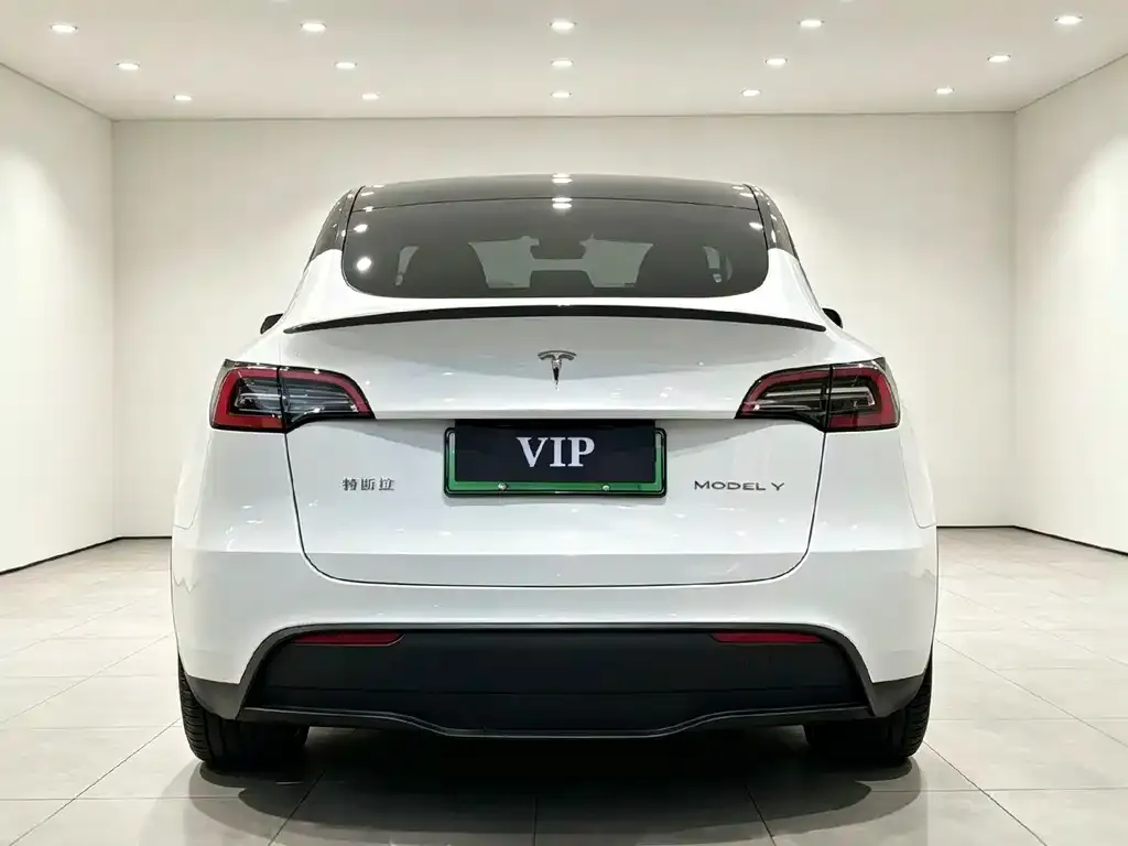 Tesla Model Y — фото 2