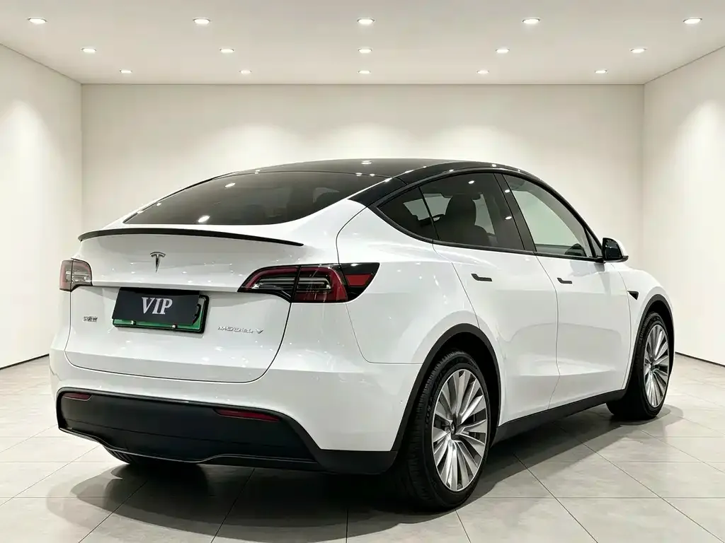 Tesla Model Y — фото 5