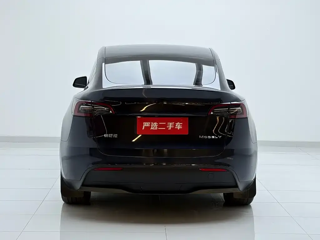 Tesla Model Y — фото 8
