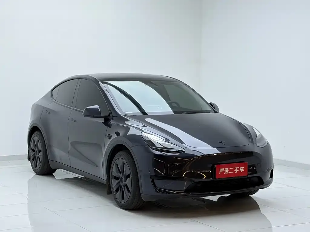 Tesla Model Y — фото 5
