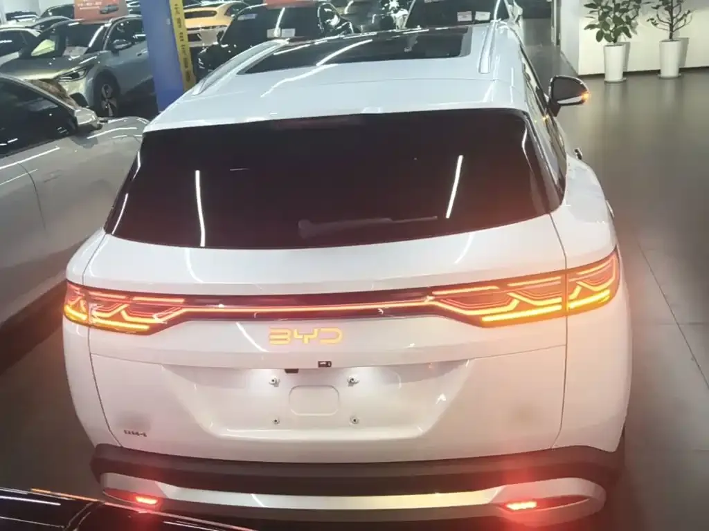 BYD L DM-i — фото 7