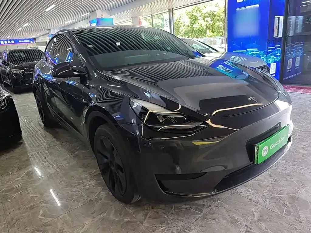 Tesla Model Y — фото 8