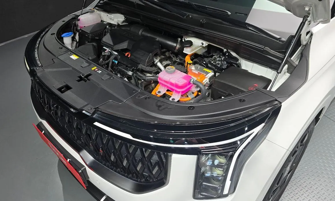 Kia Carnival — фото 10