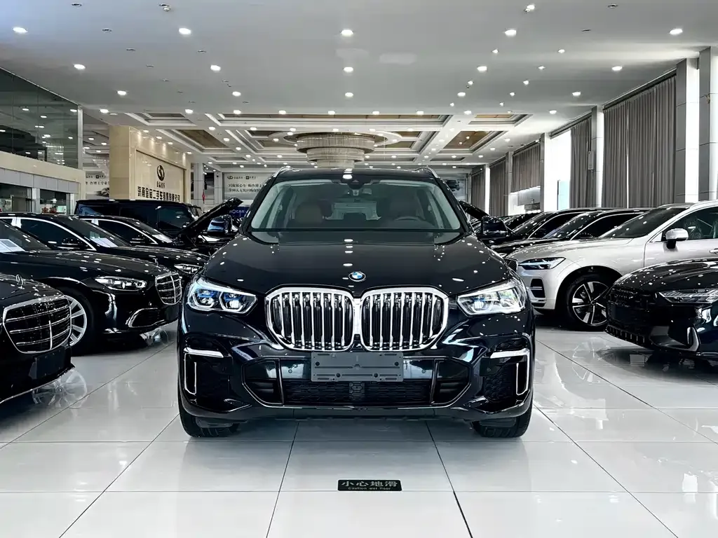 BMW X5 — фото 6