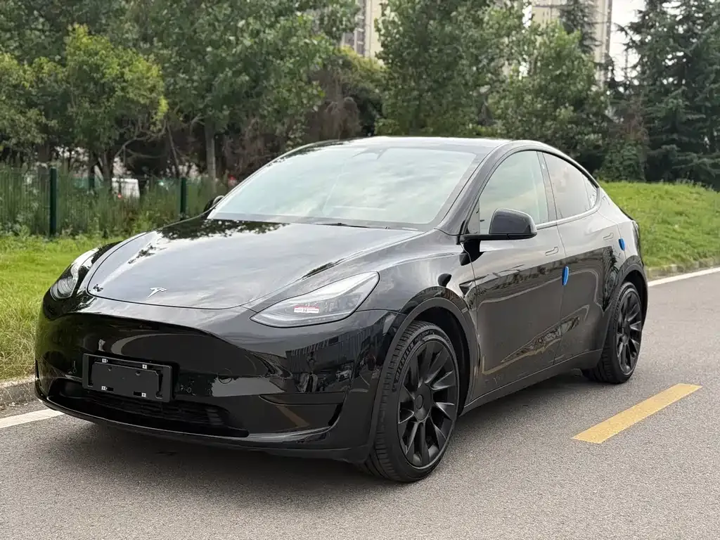 Tesla Model Y — фото 1