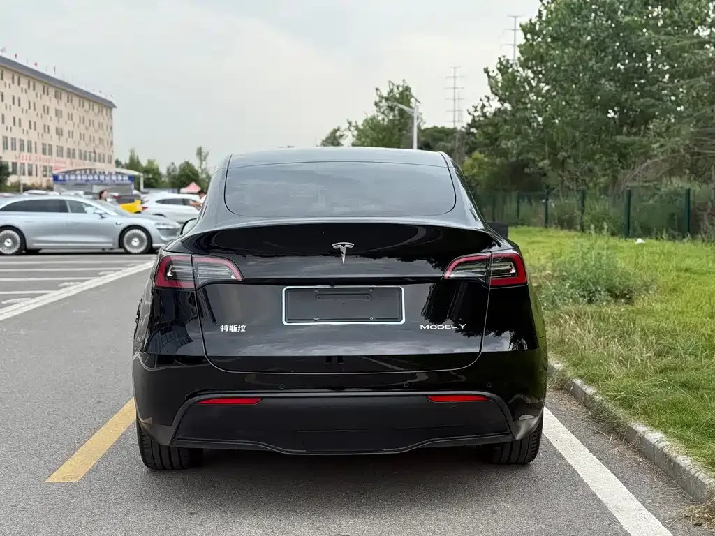 Tesla Model Y — фото 6