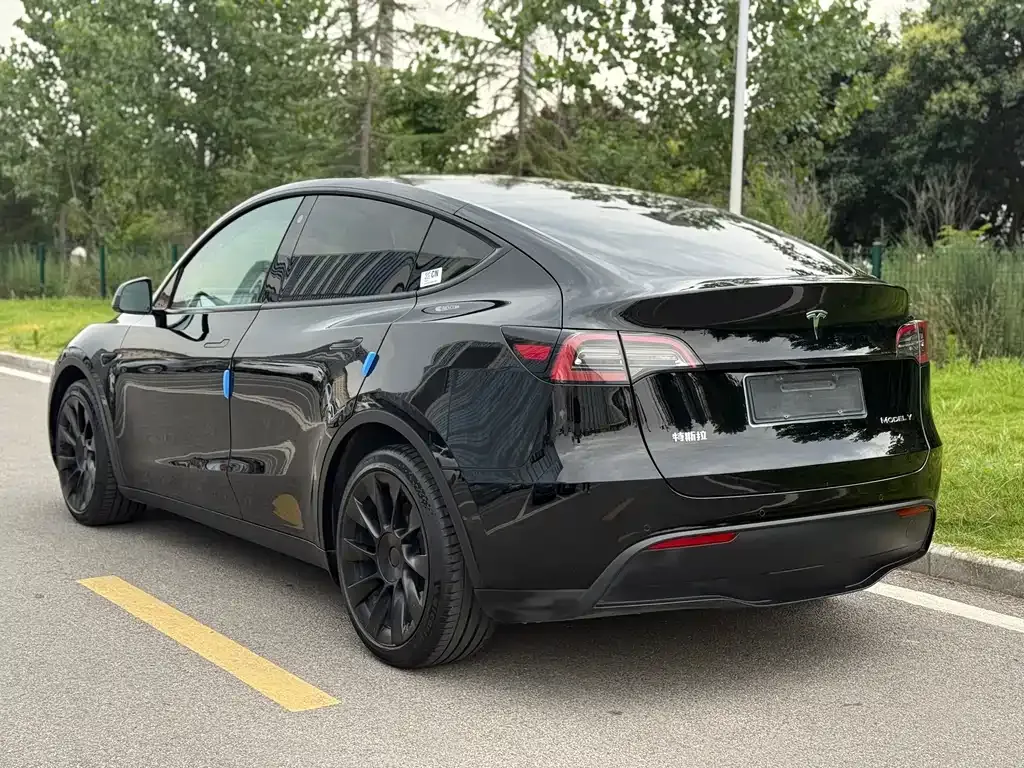 Tesla Model Y — фото 10