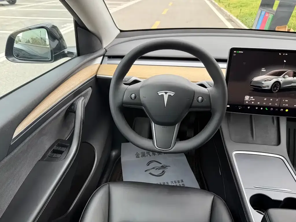 Tesla Model Y — фото 2