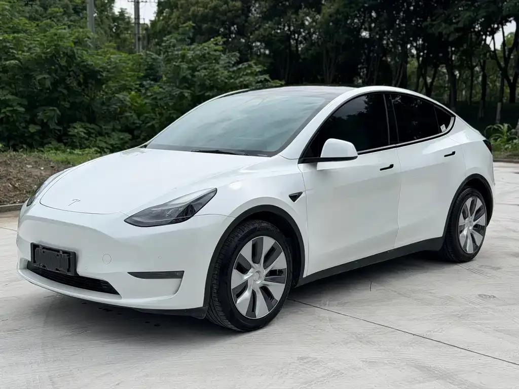 Tesla Model Y — фото 8