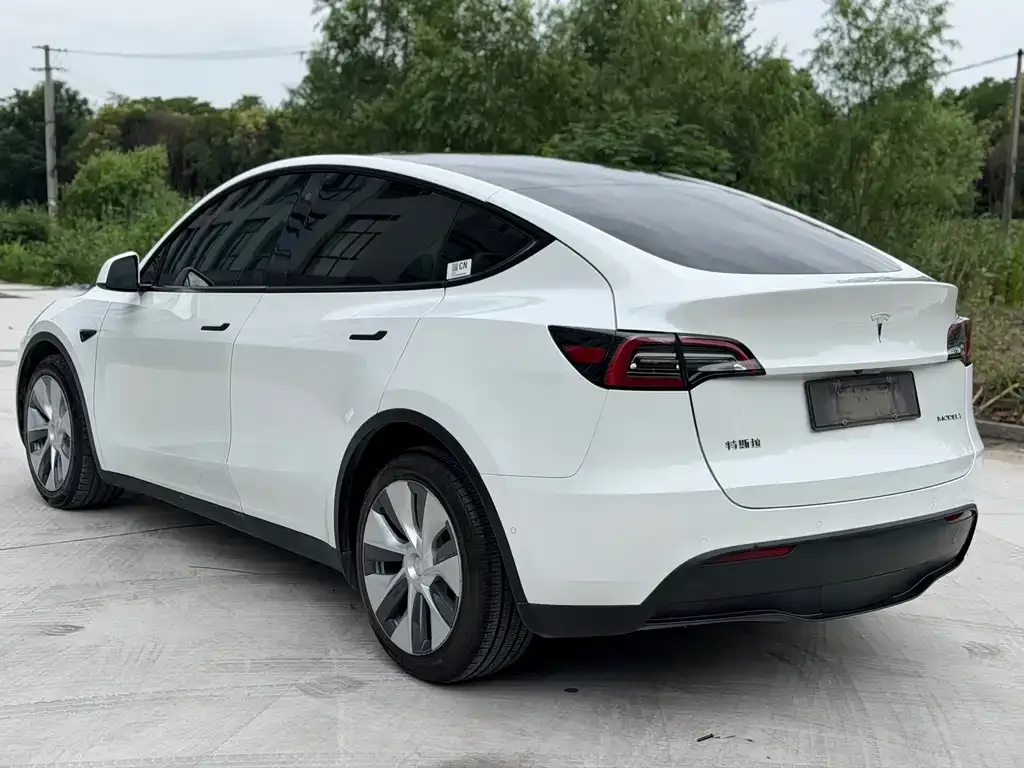 Tesla Model Y — фото 6