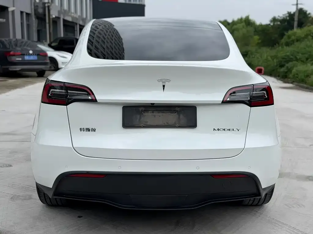 Tesla Model Y — фото 5